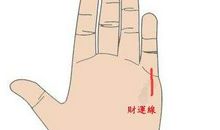 财运线图解女人财运