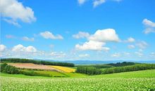 19号喜鹊叫，20号横财躲不掉！3生肖喜事登门，出门遇贵人，天天开口笑