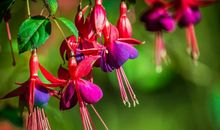 恭喜四生肖钱财数不尽，10月21号开始事业畅通无阻，赚得金山银山！