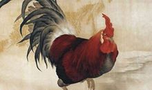 1969年属鸡的人2020年运势及运程大全解析(图文)