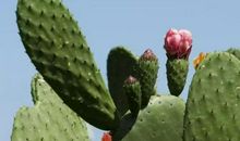 28号起，用麻布袋装大钱！3生肖接大喜、发大财，横财不请自来，喜事接二连三