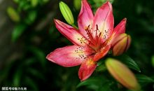 恭喜四生肖赚的口袋满满，11月4号开始坐拥财库暴涨，好事横财一起来!