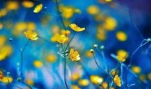 查一查：进入2020年鼠年，你的财运如何？