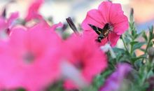 恭喜四生肖财运一路高涨，10月20号开始财星发力，得到一番丰厚的回报!