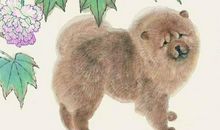 来年过上好日子的3生肖，年底财运进家门，买车买房，一气呵成