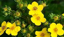 2019年3大生肖有添丁之喜，家门兴旺，财运水涨船高！