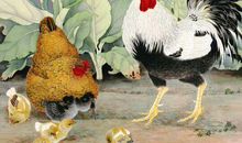 属鸡、蛇、猪生于这几月，后福后富皆无穷，早晚富贵可成