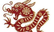 属龙的狮子座命运还可以，事业能取得成功但很容易得罪人