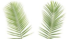 算命的说：10月到年底，大大好消息，3生肖时来运转，运势喜洋洋，买车又买房