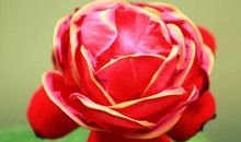 步入10月下旬，4属相财路蹭蹭涨，被幸福关照，运旺财旺桃花旺