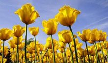 11月1号喜、2号吉，事事如愿，大财难挡，鸿运八方来，财神爷点名3属相