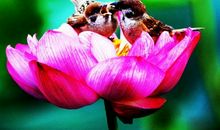 10月28号开始，开门见喜，4属相财富生生不息，生活富裕安乐