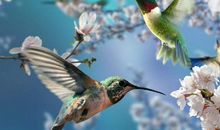 10月24号以后最有潜力做富翁的属相，不费吹灰之力就能如愿得财