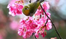 10月26号，4属相横财运最旺最强，越努力惊喜越大，不愁没钱花