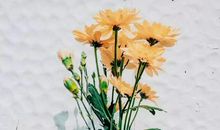 你的面相，就是你的风水