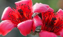 4属相横财喜盈门，10月25号开始财运大好，生活越来越红火