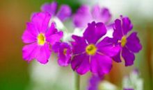 10月下旬财运攀升最高峰，翻身发大财的生肖，以后注定享富贵