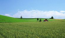 11月初一帆风顺，运势大好的四大生肖，添喜又添财