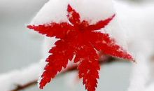 11月16号起富贵加身，收钱收到手软的生肖，万事亨通大发横财