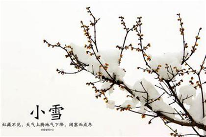 2019年小雪这天喜神吉位在哪里,离2019年小雪还有几天？(图文) 1