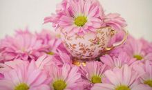 1978年生人运程如何(图文)