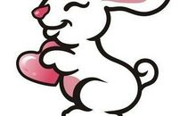 属兔、属龙、属蛇生肖将会拥有什么样的运势呢？快来看看