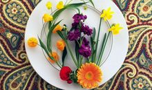 明天开始天降好运，横财挡不住，工作中顺风顺水的四属相