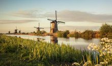 11月7、8、9号，大运难挡、事事如意，3生肖迎大喜、发大财，运势天天攀升