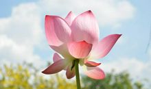 财神爷点大名：11月存款成倍涨，大财翻倍发的3生肖