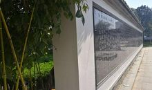 晨霁2020年星座运势简单版（双鱼座和巨蟹座）