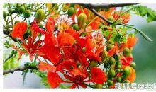 财富命旺盛的3大生肖女，会为丈夫带来好运和财运，生活开心幸福