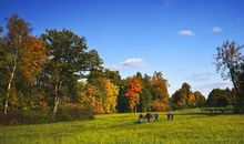 24日起运势大转，鸿运当头，横财就手收入满满，添丁添财3生肖