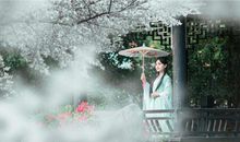 属羊2019年运势及运程(图文)