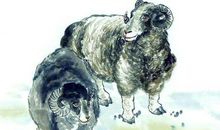 10月底，钱多的3生肖，出门贵人来，事业有成，日子愈发富裕