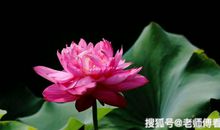 10月26号起财运大旺，福禄齐全，人生美满的3大生肖