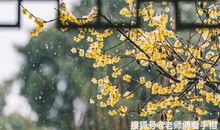 十二生肖中，3大生肖，未来2个月大吉大利，求财顺利，好运连连