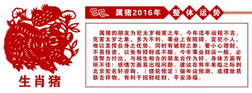 属猪2020年运势及运程 2020年属猪人全年运势