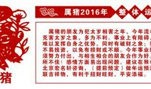 属猪2020年运势及运程 2020年属猪人全年运势