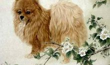 属狗2020年运势及运程 2020年属狗人全年运势