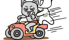 这些精力旺盛的星座男，天生就爱沾花惹草了！