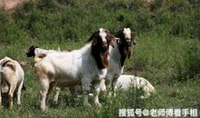 在11月，3生肖有财神爷相助，好运展现出来，将获得贵人的帮助