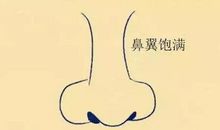 鼻子长得好，男有财运，女旺夫！