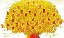 金秋硕果累累，喜获丰收的三大生肖！