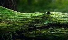 发大财赚大钱！3号到11月底，财富如雨，好运滚滚来的3大生肖