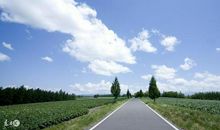 11月这三大生肖财运横生，喜上眉梢，心想事成，腰缠万贯