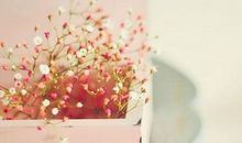 十二生肖中分析能力最出众的4个生肖，他们敢于挑战自己