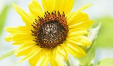 未来3天成功躲开小人，家财涨不停的生肖，以后人生幸福美满