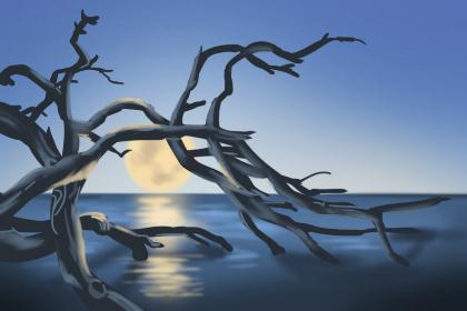 没有命运线的女人会是一事无成么