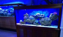 风水常识：鱼缸的摆放位置