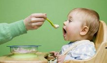 十二生肖猪起名